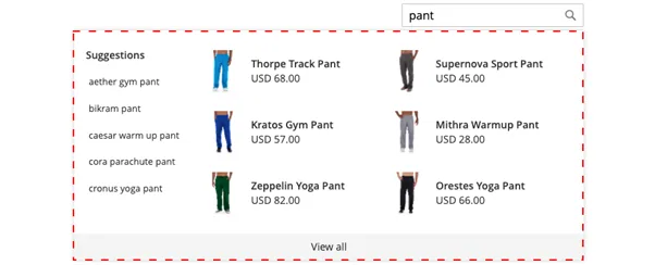 Explora el poder de Live Search para potenciar tu tienda online